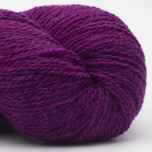 Bio Shetland