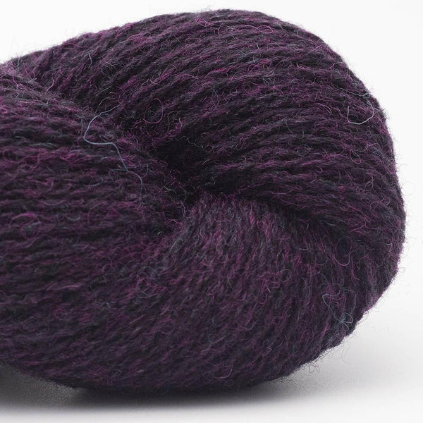 Bio Shetland