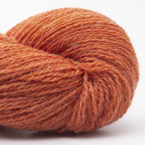 Bio Shetland
