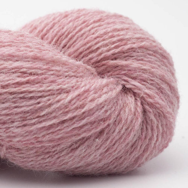 Bio Shetland