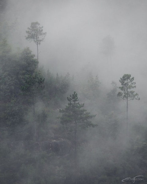 Fluff & Nonsense 2025 Yarn Advent