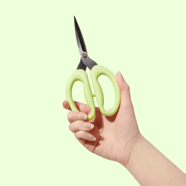 Sohmo Go-To Scissors - Large 8"