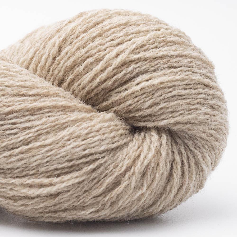 Bio Shetland