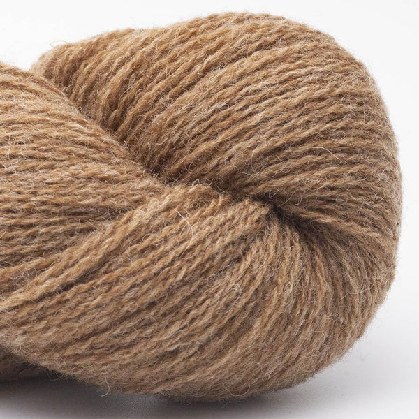 Bio Shetland