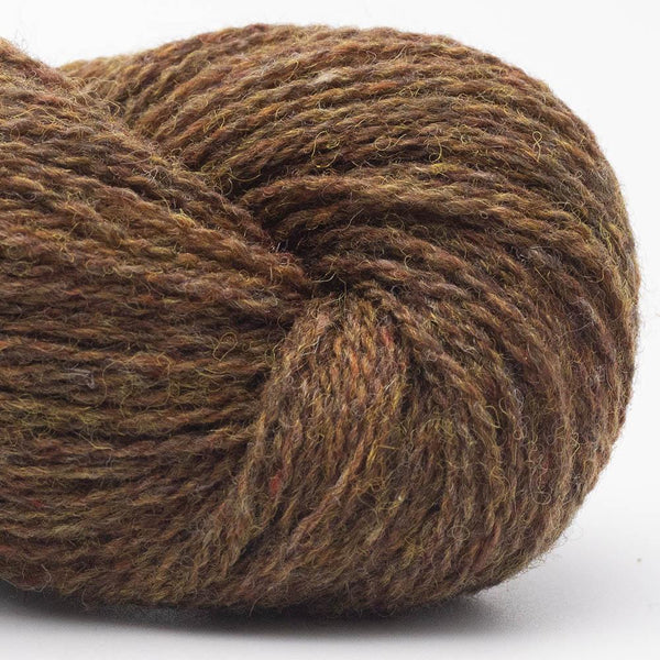 Bio Shetland
