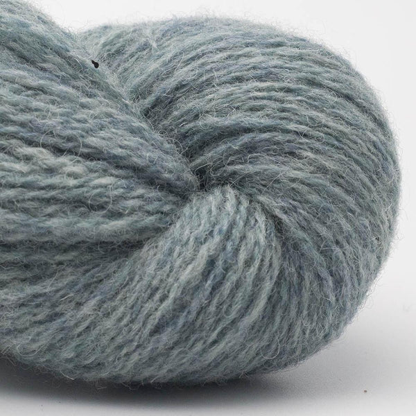 Bio Shetland