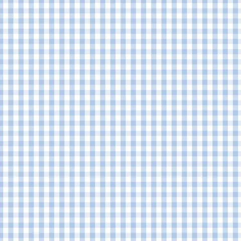 Devonstone Gingham - $22/m