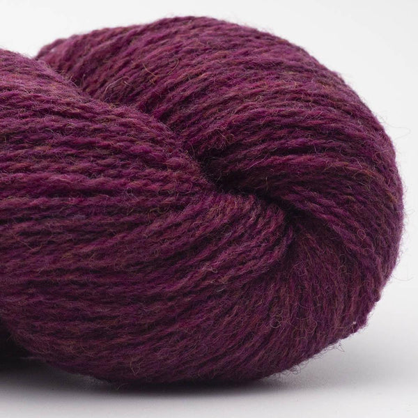 Bio Shetland