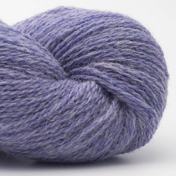 Bio Shetland