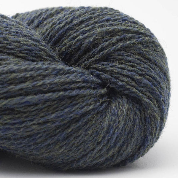 Bio Shetland