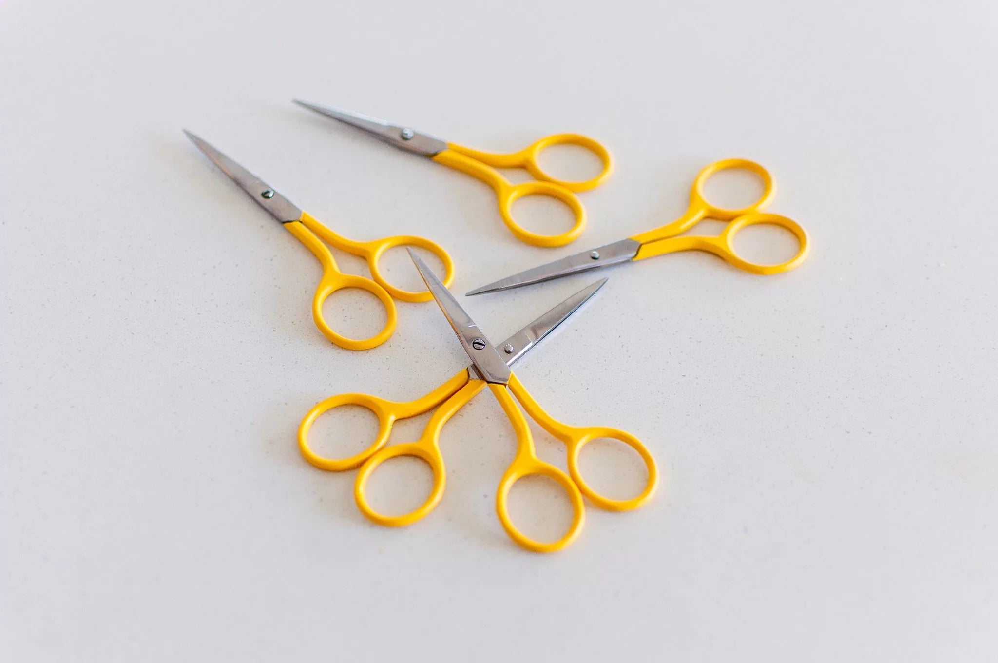 Brynn & Co Round Scissors