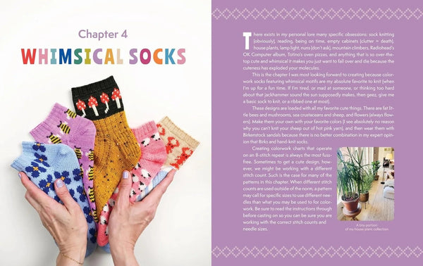The Sock Obsession by Summer Lee