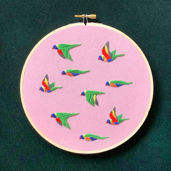 Embroidery Kit - Rainbow Lorikeet