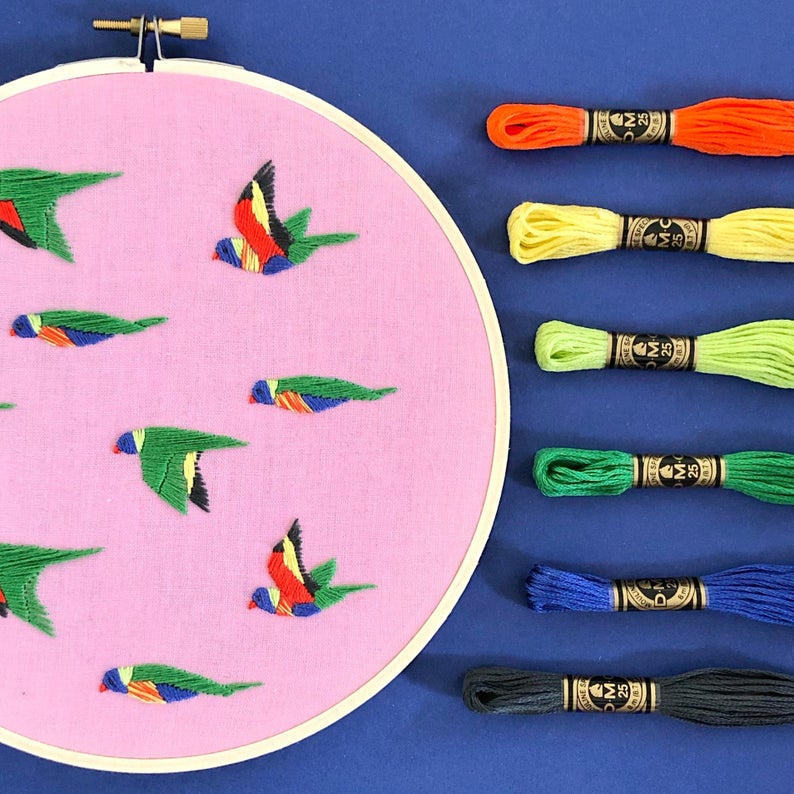 Embroidery Kit - Rainbow Lorikeet
